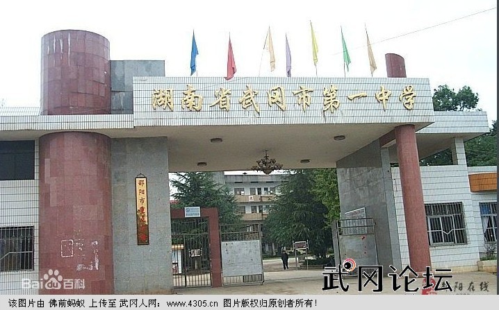 沈月和路人合影怎么回事 沈月母校是哪所高中?