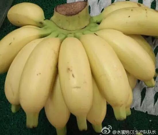 王凯黄轩世纪握手是什么梗 王凯黄轩什么关系?