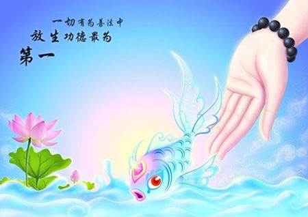 为什么买小龙虾放生 放生的真正意义是什么?