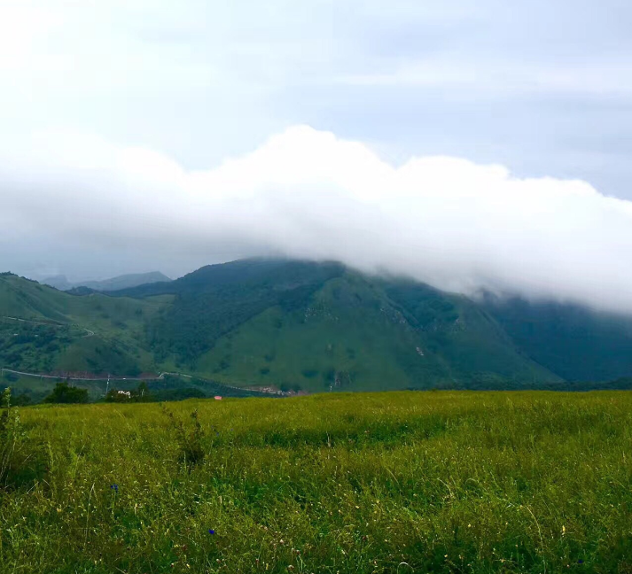为什么灵山景区暂停开放 灵山景区到底发生了什么?