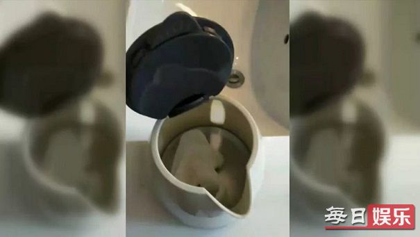 水壶内现卫生巾是怎么回事 酒店里的水壶真的可以用吗?