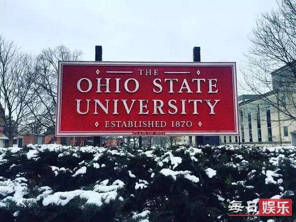 杨惠妍是哪个大学毕业的 杨惠妍大学学的什么专业?