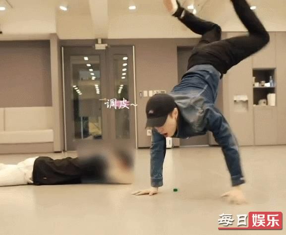 张艺兴倒立训狗是什么梗 盘点娱乐圈中那些爱养狗的明星