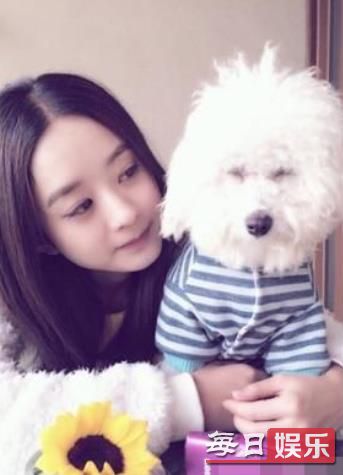 张艺兴倒立训狗是什么梗 盘点娱乐圈中那些爱养狗的明星