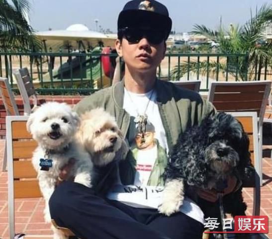 张艺兴倒立训狗是什么梗 盘点娱乐圈中那些爱养狗的明星