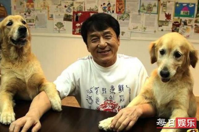 张艺兴倒立训狗是什么梗 盘点娱乐圈中那些爱养狗的明星