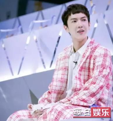 董岩磊个人资料介绍 董岩磊有哪些演绎经历?