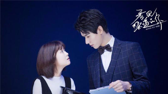 看见味道的你有多少集