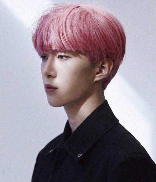 范丞丞粉色頭發是什么梗 盤點那些染過粉色頭發的明星