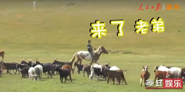 蒙古国牧场实拍捐赠给中国的羊 蒙古国和中国什么关系?